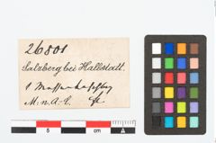 Etikett zu Eisenlanzenspitzentülle (NHMW-PRAE-026801)